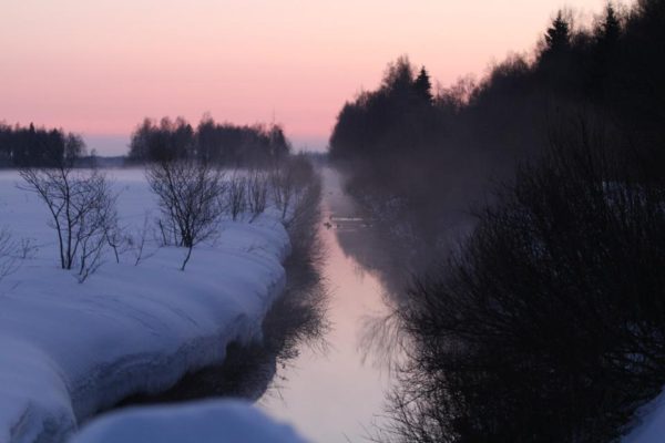 Kaitsealade-loomine-muutub-selgemaks-ja-põhjalikumaks_Foto_Vello-Veskimäe.jpg