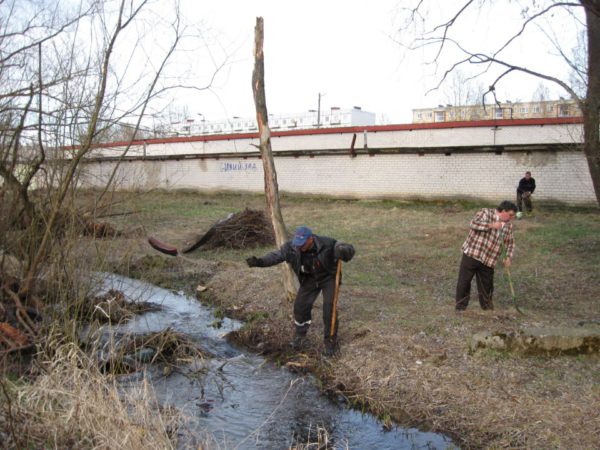 Korteriühistuid-oodatakse-osalema_Hoolsa-ühistu_kampaanias.jpg
