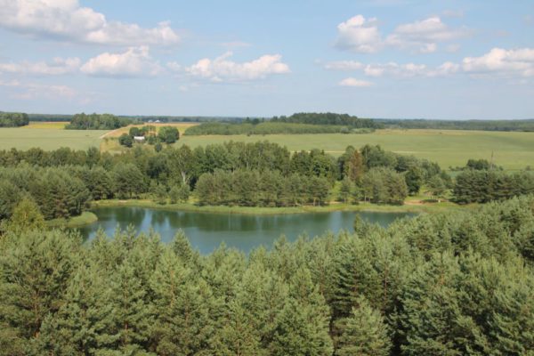 Metsaseaduse-muudatused-said-valitsuselt-heakskiidu.jpg