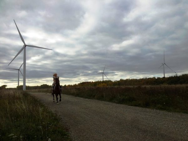 Hiiumaal-arutatakse-kuidas-meretuuleenergia-suurt-potentsiaali.jpg