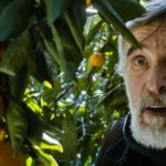 Filmi_Mandariinid_vaatas-nädalavahetusel-5371-inimest.jpg