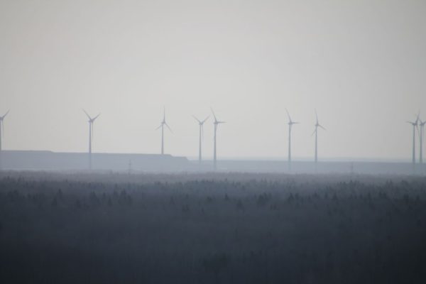 IMG_7237.jpg