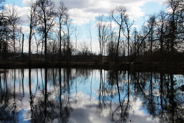Järv.jpg