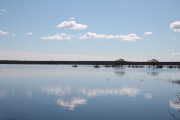 Järv1.jpg