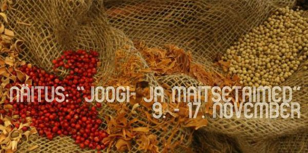 Tallinna-Botaanikaaed-kutsub-näitusele-Joogi-ja-maitsetaimed.jpg