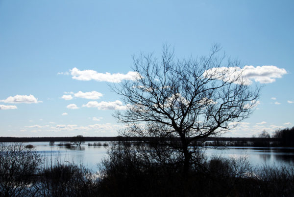 Täna-toimub-seminar-jääkreostuse-olukorrast-Eestis.jpg