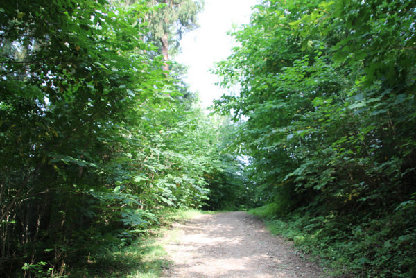 Eesti-metsaradasid-külastati-sel-aastal-17-miljonit-korda.jpg