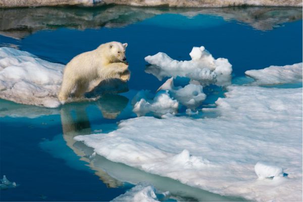 NationalGeographic_v.jpg