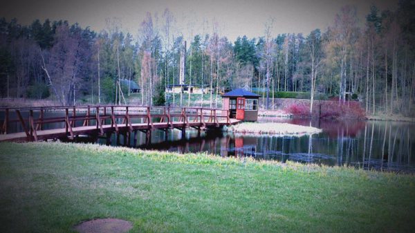 Kotkaforell.jpg