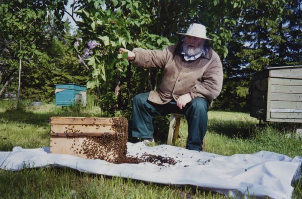 t2_vilguti_2004.jpg