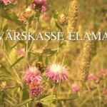 Värskasse-elama.png