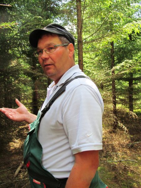 Hallan-Muusikus.jpg