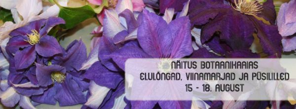 Näitus-botaanikaaias.jpg