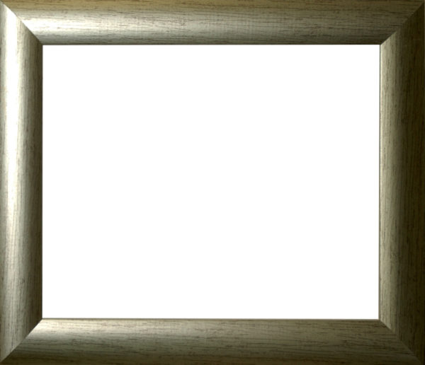 678669_22508595.jpg