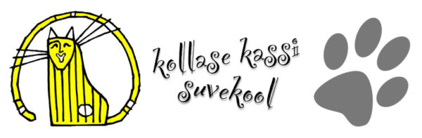 Kollase-kassi-suvekool.jpg