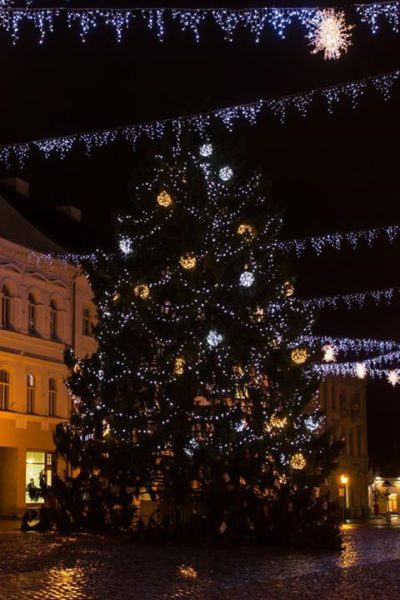 Tartu-jõulupuu.jpg