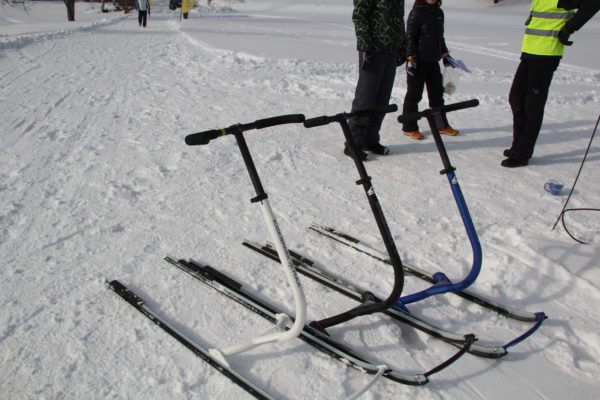 tõukekelgud.jpg