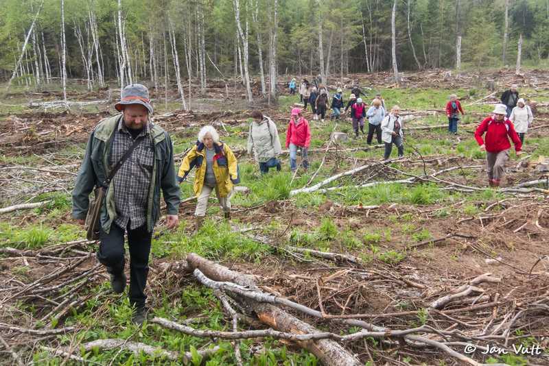 Kanamatsi loodusretk Tarmo Mikussaarega
Foto: Jan Vutt