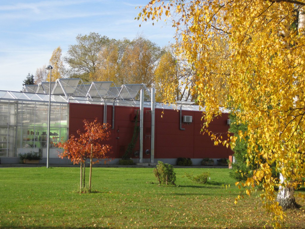 Räpina Aianduskool kannab tiitlit energiasäästlik kaunis kodu 2012