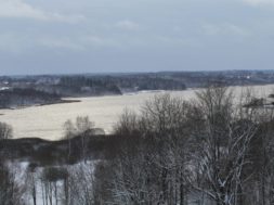 Eile-lasti-Viljandi-järve-50-000-eurot-väärt-kala_Foto_Vello-Veskimäe.jpg