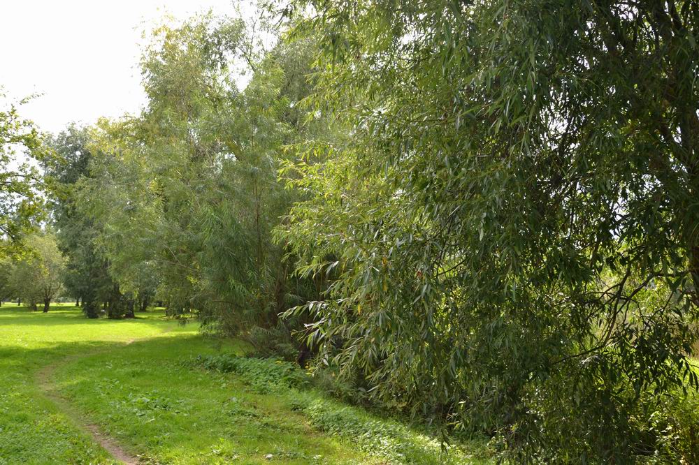Valmis maaülikooli 40 000 eurot maksnud loodushariduse õpperada