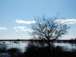 Täna-toimub-seminar-jääkreostuse-olukorrast-Eestis.jpg