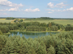 2013.-aastal-kasvas-mahepõllumajandusmaa-153-000-hektarini.jpg