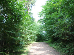 Eesti-metsaradasid-külastati-sel-aastal-17-miljonit-korda.jpg