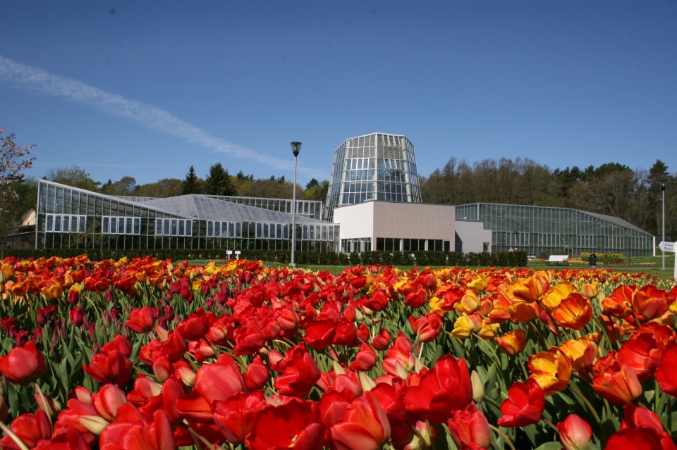 2013. aasta tõi Tallinna Botaanikaia külastajarekordi