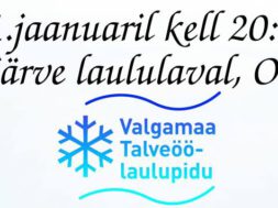 Talveöölaulupidu.jpg