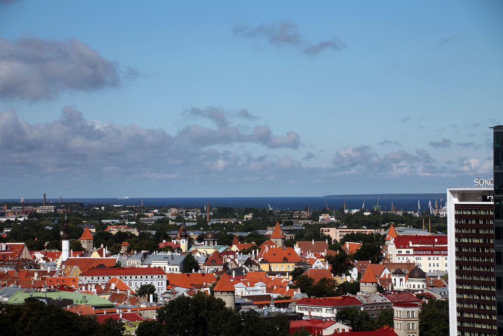 Tallinn hakkab parima haljastusega korteriühistuid premeerima
