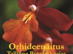 Tallinna-Botaanikaaias-toimub-eksootiliste-orhideede-näitus1.jpg