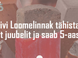 Telliskivi-loomelinnaku-sünnipäev.jpg