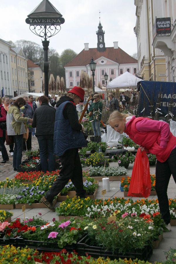 Laupäeval toimub Tartu kevadlaat