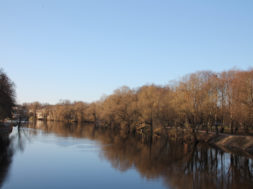 Põhja-Eesti-jõgedesse-asustati-üle-160-000-noorkala.jpg