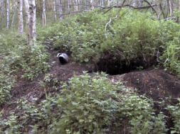 RMK-looduskaamera-jälgib-mägraelu.png