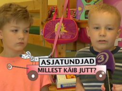 vaikesed-asjatundjad_millest-kaib-jutt.jpg