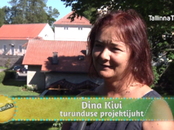 Dina-Kivi.png
