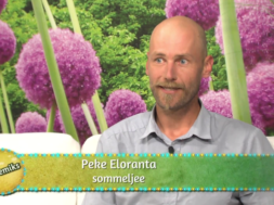 VAATA-VIDEOT-Peke-Eloranta-räägib-TTV-saates-Suvemiks-Muhu-Veinitalu-unistustest.png