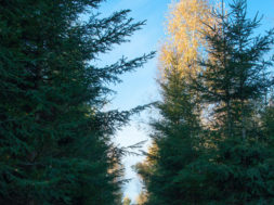 1418652_93482445.jpg