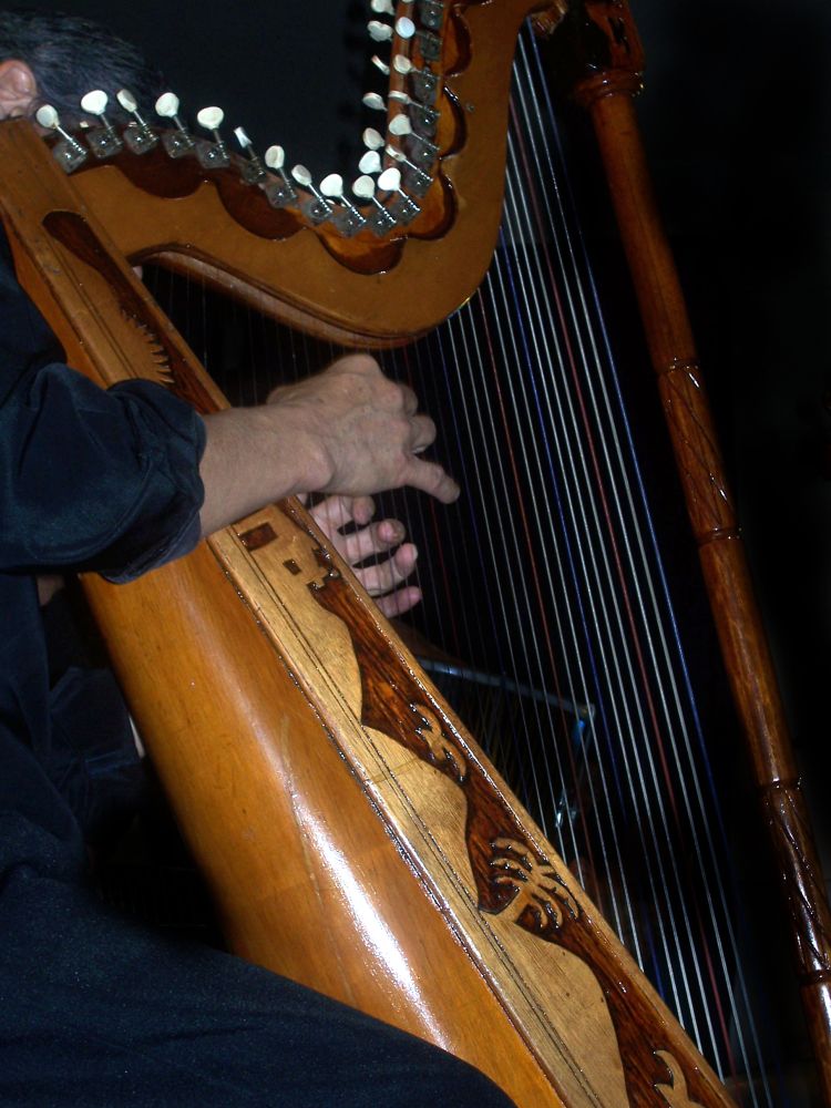 Kammermuusika austajad saavad Kadrioru kunstimuuseumis harfimeloodiaid kuulata
