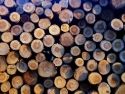wood-pile-1440768-4-m.jpg