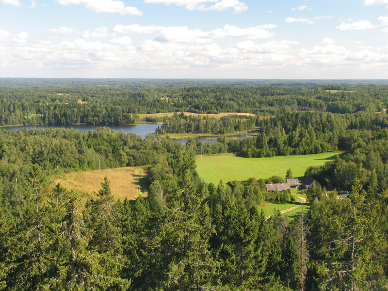 Eesti Looduskaitse Selts valis välja jaanuarikuu Keskkonnateo