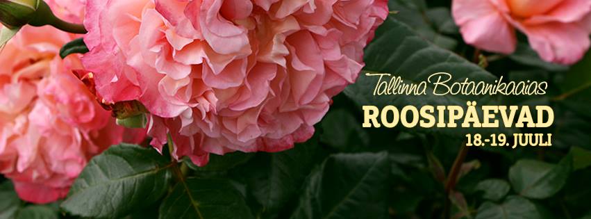 Tallinna Botaanikaaias toimuvad roosipäevad