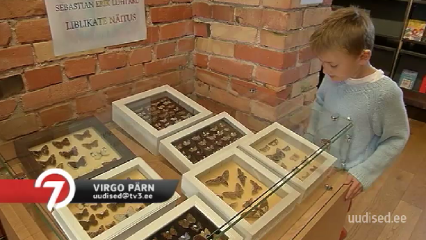 VAU! Näituse avanud 9-aastase poisi kogus on 140 erinevat liblikat
