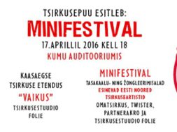 Minifestival2016.jpg