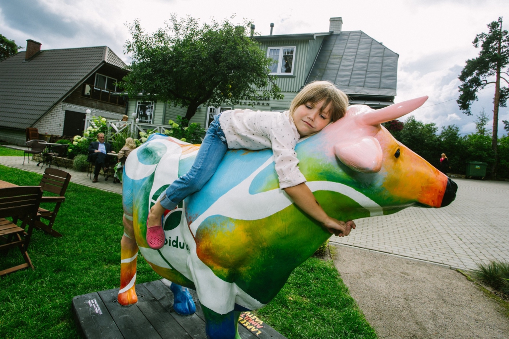 Värviline piimalehma skulptuur hakkab erinevates Eesti linnades propageerima piimatoodete tarbimist