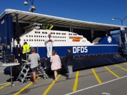 dfds23.jpg