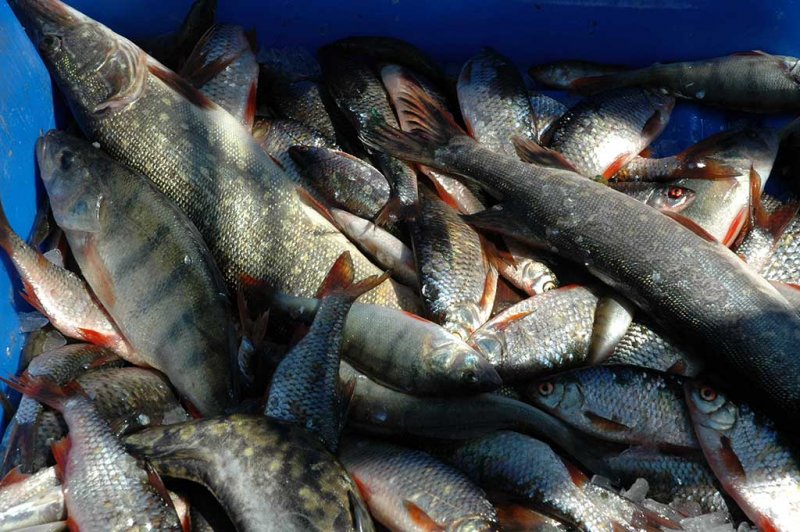 Riigikogu võttis täna vastu uue kalapüügiseaduse