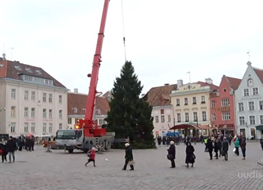 VIDEO! Tallinna jõulupuu jõudis Raekoja platsile